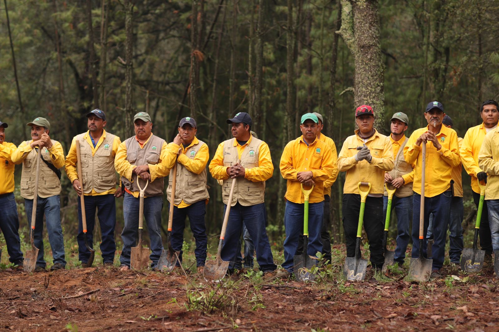 Reforesta-SEDEA-en-comunidades-de-Amealco-2 Reforesta SEDEA en comunidades de Amealco