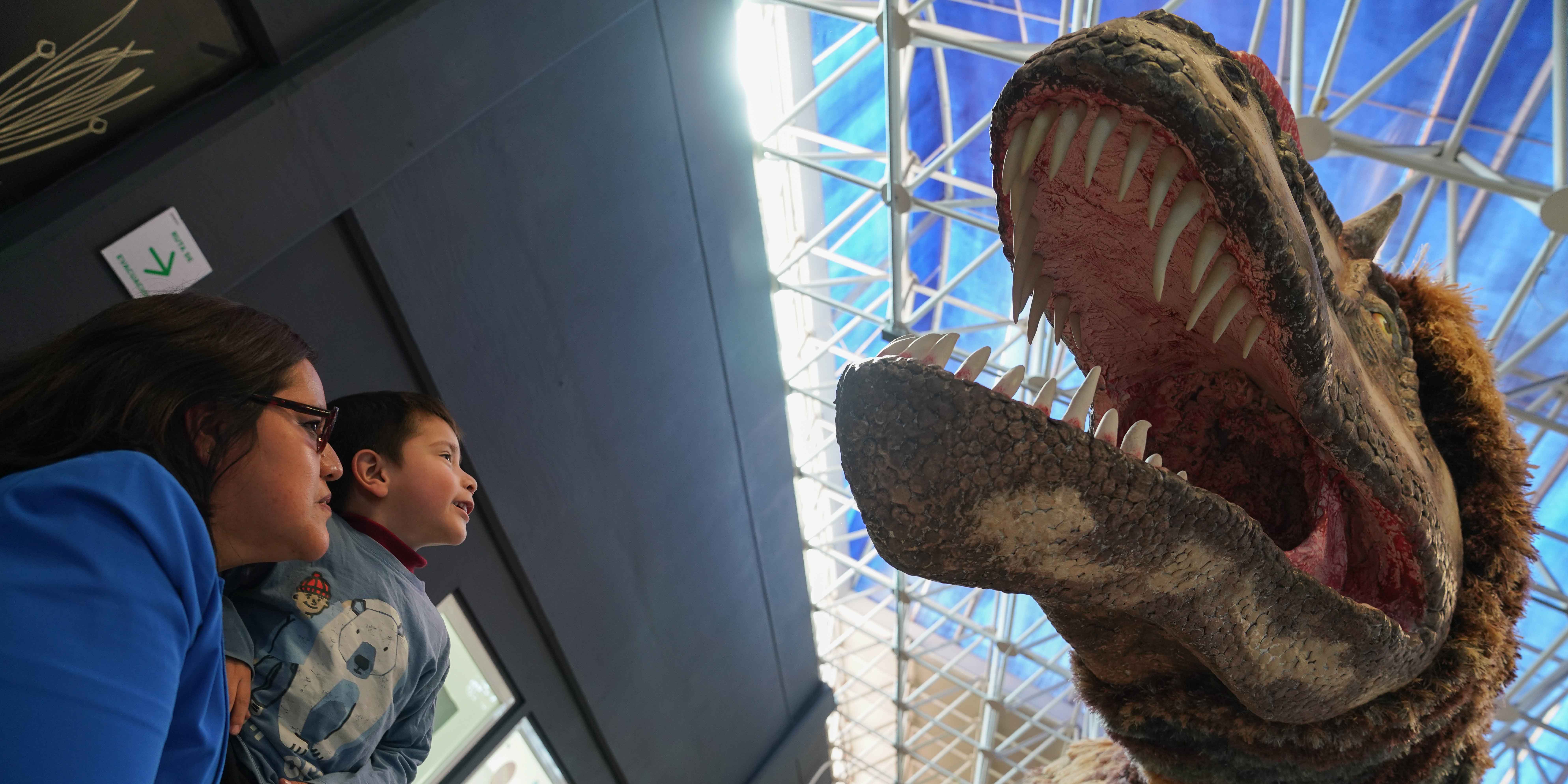 UAQ-inaugura-la-exposicion-Dinosaurios-entre-Nosotros-en-el-Museo-Ximhai UAQ inaugura la exposición “Dinosaurios entre Nosotros” en el Museo Ximhai