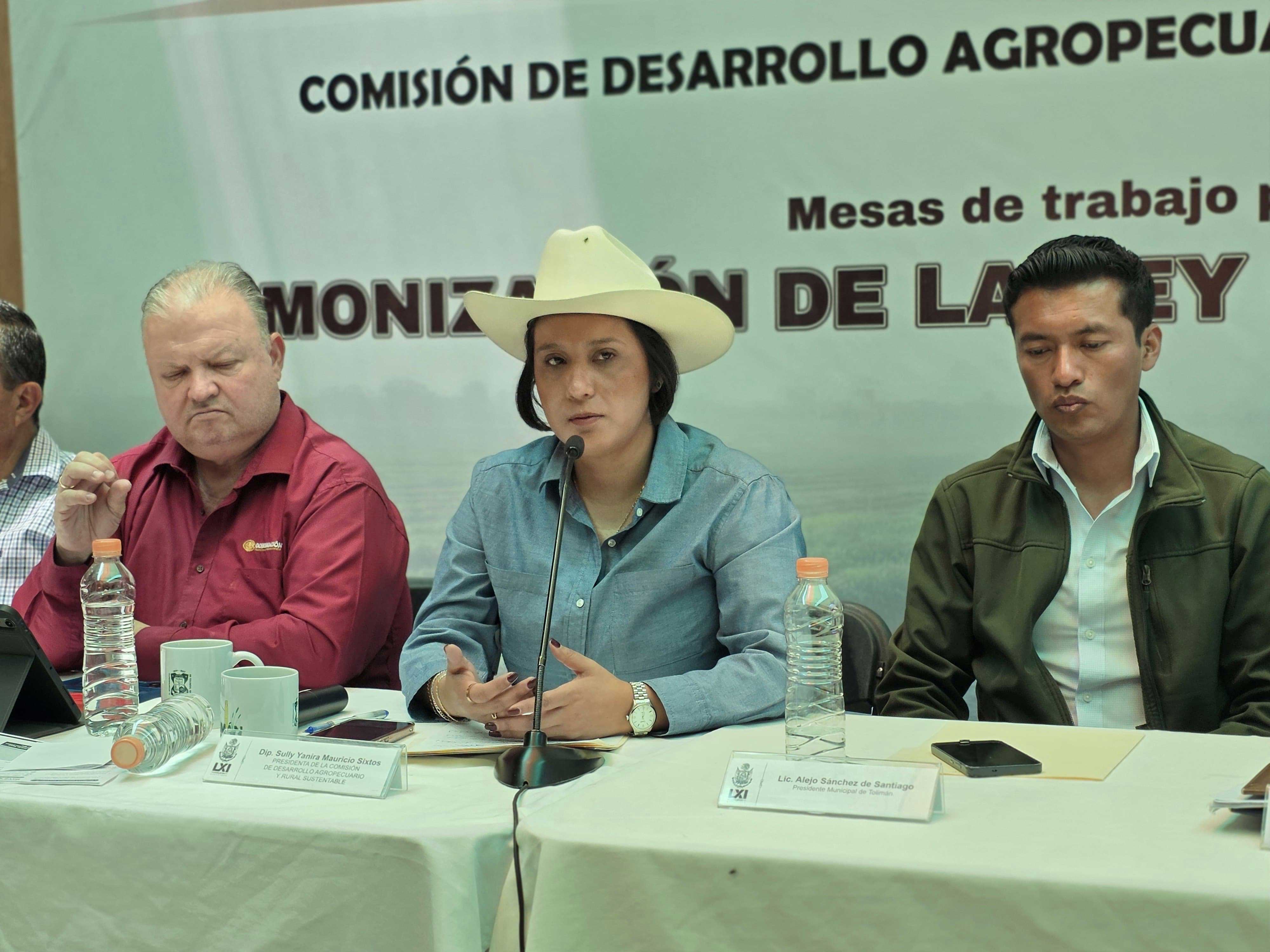Sully-Mauricio-exige-presupuesto-real-para-la-Ley-de-Aguas-2 ¡SIN DINERO NO HAY LEY! Sully Mauricio exige presupuesto real para la Ley de Aguas en Querétaro