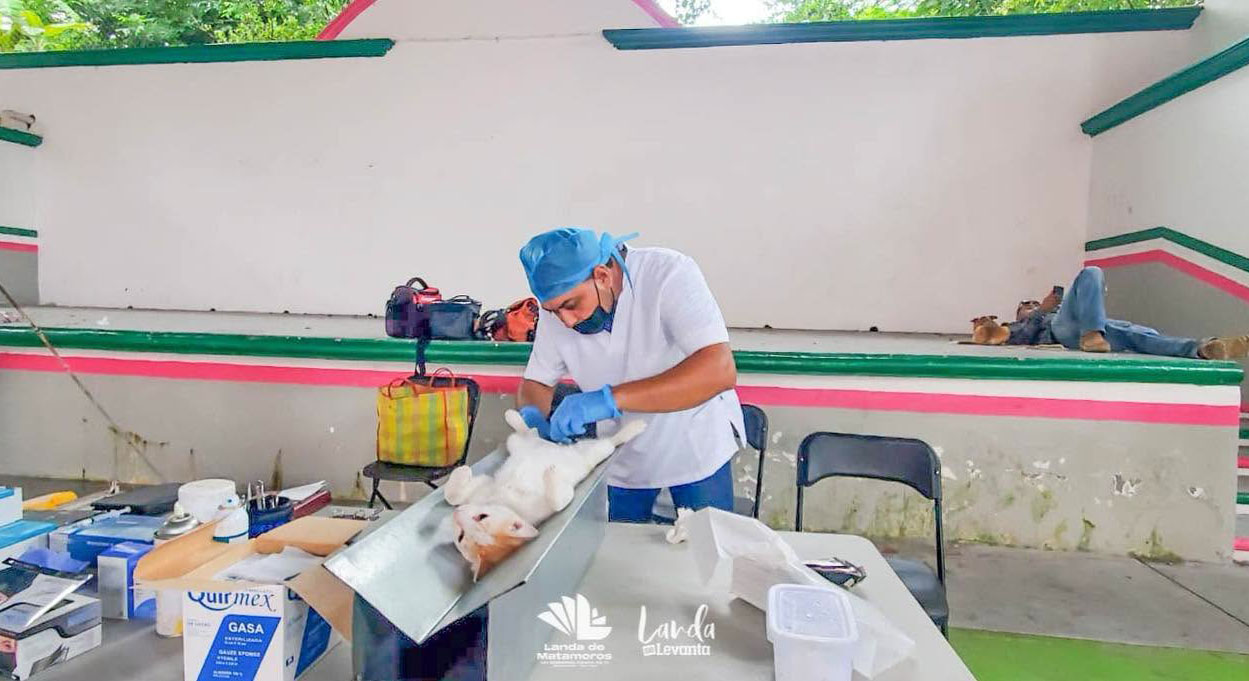Jornadas-de-esterilizacion-benefician-a-familias-de-Landa-de-Matamoros00002.png Jornadas de esterilización benefician a familias de Landa de Matamoros