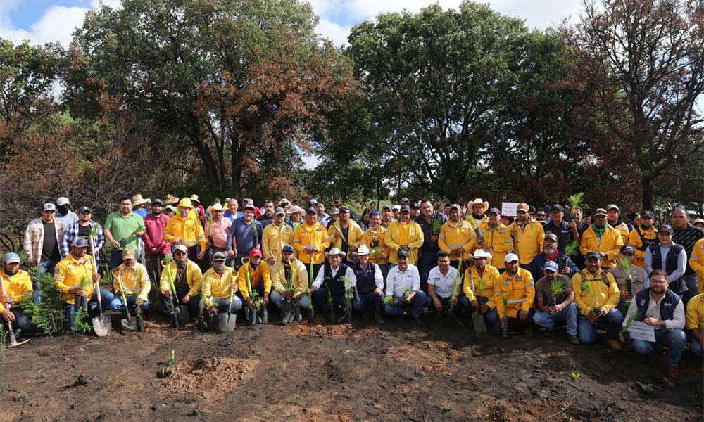 Pulmon-ecologico ¡Pulmón ecológico! Arranca SEDEA reforestación masiva con meta de 800 mil árboles en Querétaro
