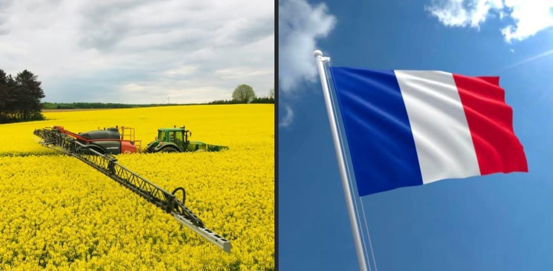 Francia-y-los-pesticidas Francia se convierte en el primer país en prohibir los pesticidas que matan a las abejas??