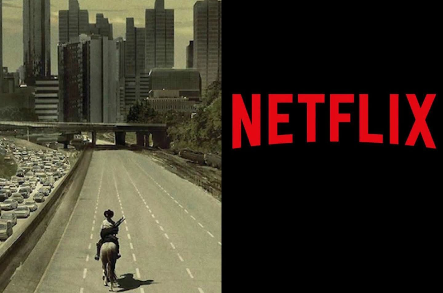 Netflix-y-the-walking-dead Netflix asegura todo el universo de THE WALKING DEAD por 5 años más??