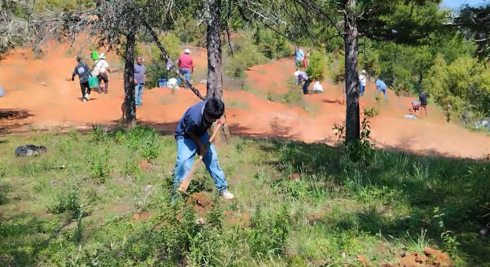 Pinal_de_Amoles_impulsa_reforestacion_en_el_Ejido_Derramadero00002.png Pinal de Amoles impulsa reforestación en el Ejido Derramadero