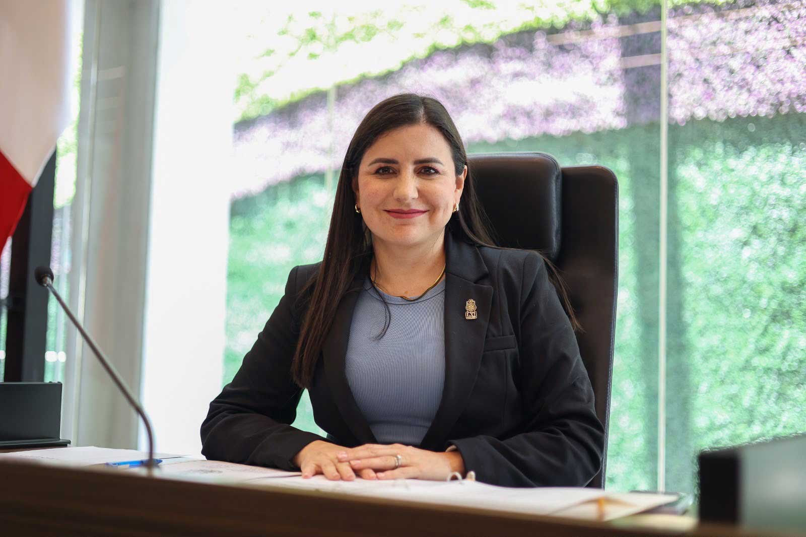 Senala-Leonor-Mejia-falta-2 Señala Leonor Mejía falta de mayoría calificada en votación sobre identidad de género en Querétaro