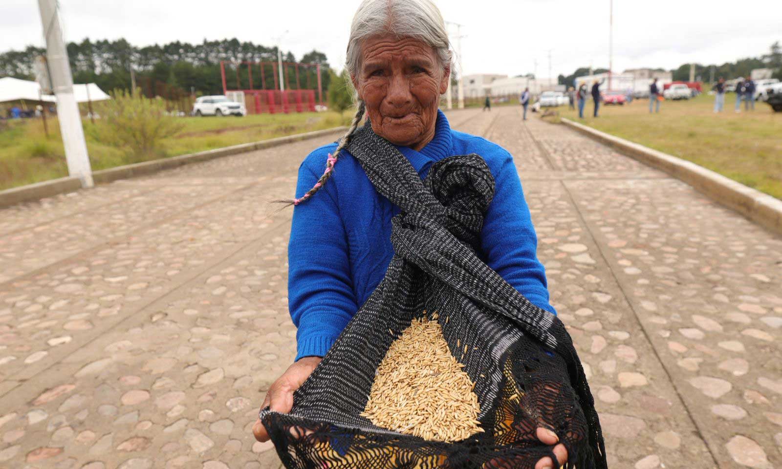 Entrega-SEDEA-semilla-forrajera Entrega SEDEA semilla forrajera a pequeños productores pecuarios en Amealco